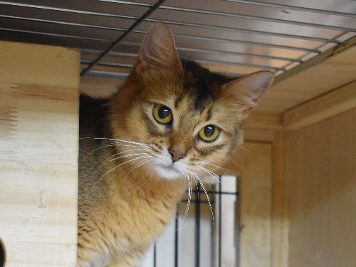 ソマリ　ルディ　めす　（２０年１０月２０日生れ）